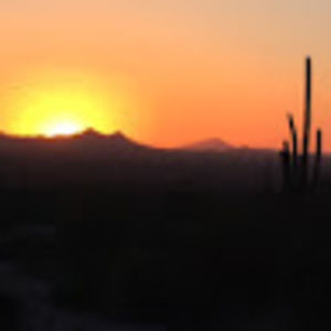 Meet your Posher, Meredith